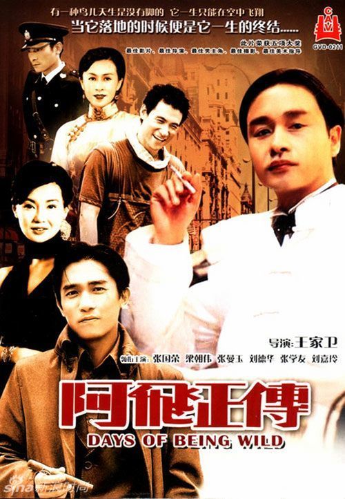 农村宅基地不动产证图片